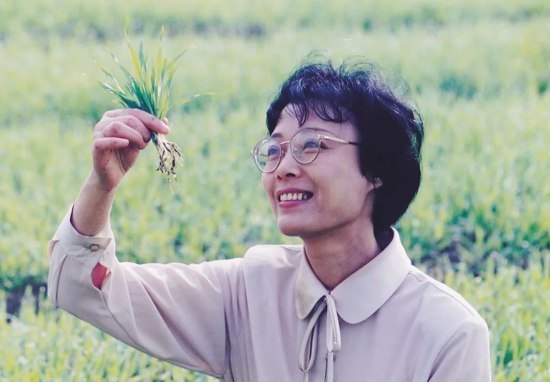 杏彩平台官网燕麦片最佳食用方法麦片麦记片的功效与作用徐新月博士：“博可麦记片用时